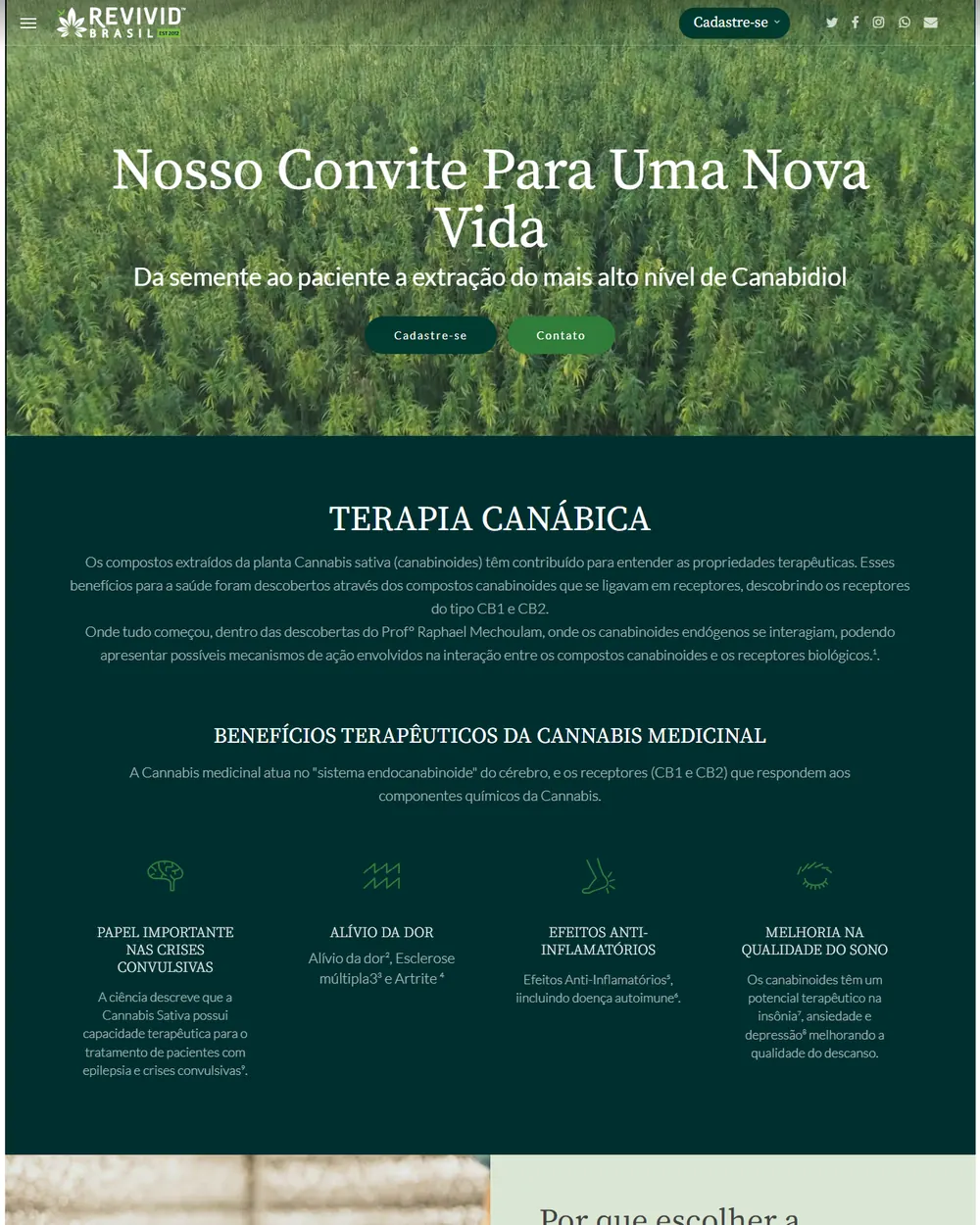 Revivid Brasil - capa